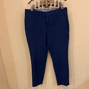 Express Men's Navy Chinos